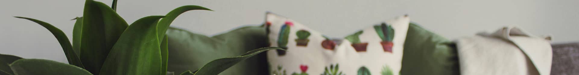 Patch Property, Lettings, Landlords, Renting, Tenants, Estate Agents, London